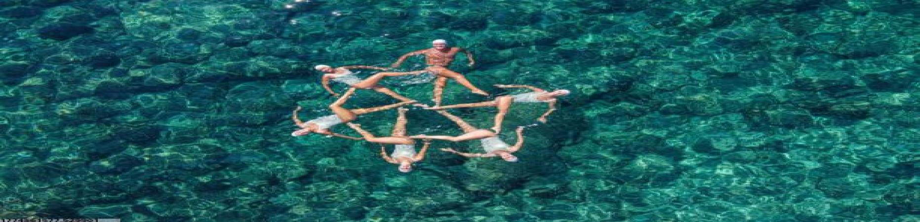 必一运动环保运动器材研发案